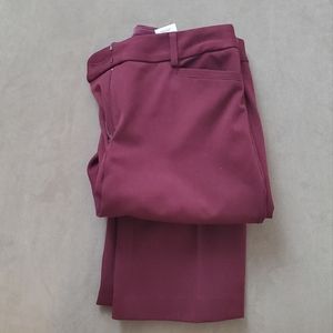 Express bootcut maroon dress pants, very gently used, size 6